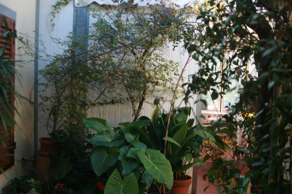 Albergo Villa Sorriso Fiesole Bagian luar foto